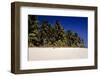 Sandy Beach and Palm Trees, Bangaram Island, Lakshadweep Islands, India, Indian Ocean, Asia-Balan Madhavan-Framed Photographic Print