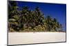 Sandy Beach and Palm Trees, Bangaram Island, Lakshadweep Islands, India, Indian Ocean, Asia-Balan Madhavan-Mounted Photographic Print