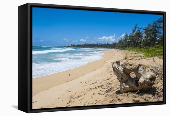 Sandy Beach on Kapaa Beach Park on the Island of Kauai, Hawaii, United States of America, Pacific-Michael Runkel-Framed Stretched Canvas