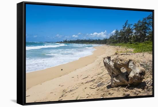 Sandy Beach on Kapaa Beach Park on the Island of Kauai, Hawaii, United States of America, Pacific-Michael Runkel-Framed Stretched Canvas