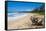 Sandy Beach on Kapaa Beach Park on the Island of Kauai, Hawaii, United States of America, Pacific-Michael Runkel-Framed Stretched Canvas