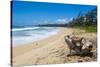 Sandy Beach on Kapaa Beach Park on the Island of Kauai, Hawaii, United States of America, Pacific-Michael Runkel-Stretched Canvas