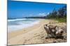 Sandy Beach on Kapaa Beach Park on the Island of Kauai, Hawaii, United States of America, Pacific-Michael Runkel-Mounted Photographic Print