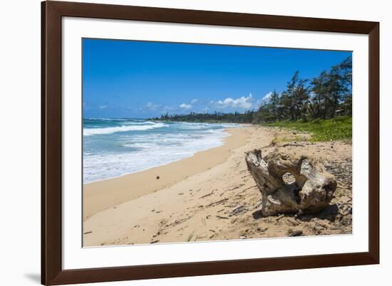 Sandy Beach on Kapaa Beach Park on the Island of Kauai, Hawaii, United States of America, Pacific-Michael Runkel-Framed Photographic Print