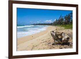 Sandy Beach on Kapaa Beach Park on the Island of Kauai, Hawaii, United States of America, Pacific-Michael Runkel-Framed Photographic Print