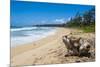 Sandy Beach on Kapaa Beach Park on the Island of Kauai, Hawaii, United States of America, Pacific-Michael Runkel-Mounted Photographic Print