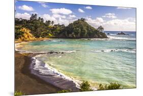 Sandy Beach on Tutukaka Coast, Northland Region, North Island, New Zealand, Pacific-Matthew Williams-Ellis-Mounted Premium Photographic Print