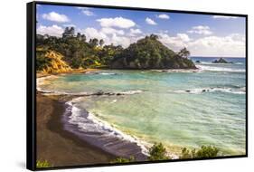 Sandy Beach on Tutukaka Coast, Northland Region, North Island, New Zealand, Pacific-Matthew Williams-Ellis-Framed Stretched Canvas