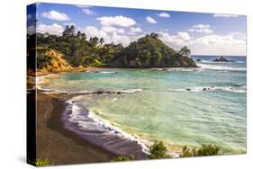 Sandy Beach on Tutukaka Coast, Northland Region, North Island, New Zealand, Pacific-Matthew Williams-Ellis-Stretched Canvas