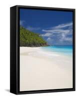 Sandy Beach, Seychelles, Indian Ocean, Africa-Papadopoulos Sakis-Framed Stretched Canvas