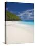 Sandy Beach, Seychelles, Indian Ocean, Africa-Papadopoulos Sakis-Stretched Canvas