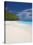 Sandy Beach, Seychelles, Indian Ocean, Africa-Papadopoulos Sakis-Stretched Canvas