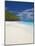 Sandy Beach, Seychelles, Indian Ocean, Africa-Papadopoulos Sakis-Mounted Photographic Print