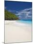 Sandy Beach, Seychelles, Indian Ocean, Africa-Papadopoulos Sakis-Mounted Photographic Print