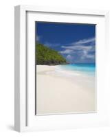 Sandy Beach, Seychelles, Indian Ocean, Africa-Papadopoulos Sakis-Framed Photographic Print