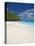 Sandy Beach, Seychelles, Indian Ocean, Africa-Papadopoulos Sakis-Stretched Canvas