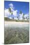 Sandy Beach Surrounded by Palm Trees and the Caribbean Sea, Morris Bay, Antigua and Barbudas-Roberto Moiola-Mounted Photographic Print