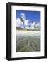 Sandy Beach Surrounded by Palm Trees and the Caribbean Sea, Morris Bay, Antigua and Barbudas-Roberto Moiola-Framed Photographic Print