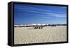 Sandy Beach with Umbreallas, Cape May, New Jersey-George Oze-Framed Stretched Canvas