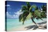 Sandy Beach-null-Stretched Canvas