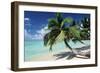 Sandy Beach-null-Framed Photographic Print