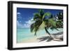 Sandy Beach-null-Framed Photographic Print