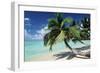 Sandy Beach-null-Framed Photographic Print