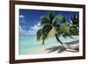 Sandy Beach-null-Framed Photographic Print