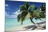 Sandy Beach-null-Mounted Photographic Print