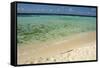 Sandy Beachfront View, Goff Caye, Belize-Cindy Miller Hopkins-Framed Stretched Canvas