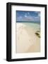 Sandy Beachfront View, Goff Caye, Belize-Cindy Miller Hopkins-Framed Photographic Print