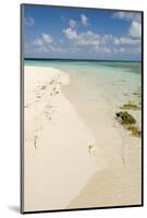 Sandy Beachfront View, Goff Caye, Belize-Cindy Miller Hopkins-Mounted Photographic Print