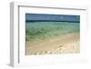 Sandy Beachfront View, Goff Caye, Belize-Cindy Miller Hopkins-Framed Photographic Print