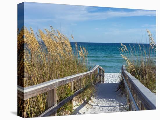 Sandy Boardwalk Path to a Snow White Beach on the Gulf of Mexico with Ripe Sea Oats in the Dunes-forestpath-Stretched Canvas