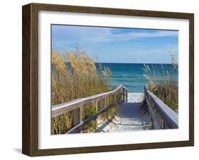 Sandy Boardwalk Path to a Snow White Beach on the Gulf of Mexico with Ripe Sea Oats in the Dunes-forestpath-Framed Photographic Print