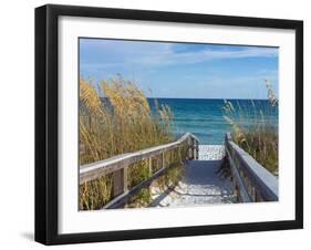 Sandy Boardwalk Path to a Snow White Beach on the Gulf of Mexico with Ripe Sea Oats in the Dunes-forestpath-Framed Photographic Print