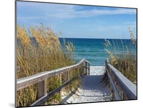 Sandy Boardwalk Path to a Snow White Beach on the Gulf of Mexico with Ripe Sea Oats in the Dunes-forestpath-Mounted Photographic Print