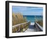 Sandy Boardwalk Path to a Snow White Beach on the Gulf of Mexico with Ripe Sea Oats in the Dunes-forestpath-Framed Premium Photographic Print