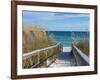 Sandy Boardwalk Path to a Snow White Beach on the Gulf of Mexico with Ripe Sea Oats in the Dunes-forestpath-Framed Photographic Print