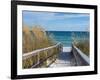 Sandy Boardwalk Path to a Snow White Beach on the Gulf of Mexico with Ripe Sea Oats in the Dunes-forestpath-Framed Photographic Print