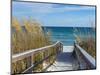 Sandy Boardwalk Path to a Snow White Beach on the Gulf of Mexico with Ripe Sea Oats in the Dunes-forestpath-Mounted Photographic Print