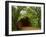 Sandy Creek Covered Bridge, Jefferson County, Missouri, USA-Charles Gurche-Framed Premium Photographic Print