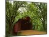 Sandy Creek Covered Bridge, Jefferson County, Missouri, USA-Charles Gurche-Mounted Premium Photographic Print