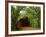 Sandy Creek Covered Bridge, Jefferson County, Missouri, USA-Charles Gurche-Framed Photographic Print