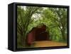 Sandy Creek Covered Bridge, Jefferson County, Missouri, USA-Charles Gurche-Framed Stretched Canvas