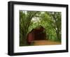 Sandy Creek Covered Bridge, Jefferson County, Missouri, USA-Charles Gurche-Framed Photographic Print