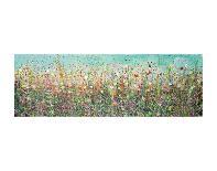 Many Coloured Landscape-Sandy Dooley-Stretched Canvas