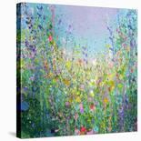 Flower Field-Sandy Dooley-Art Print