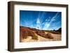 Sandy Dunes and Pink Heather-catolla-Framed Photographic Print