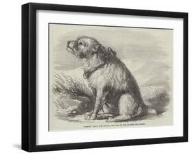 Sandy, from the Crimea, the Dog of the Sappers and Miners-null-Framed Giclee Print